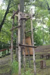 IMG_1155.webp