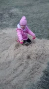 Brooklyn2.webp