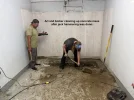 cleanup1.webp